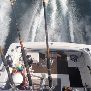 Meet your Posher, Dom